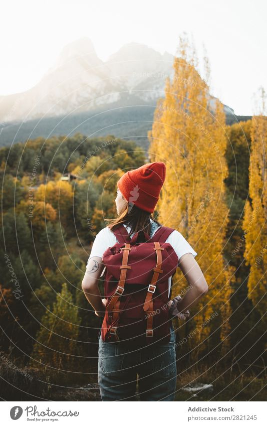 Frau mit Hut in der Natur laufen Jugendliche Mensch Lifestyle Landschaft Freizeit & Hobby Abenteuer Freiheit Jahreszeiten Herbst Baum Aussicht hübsch attraktiv