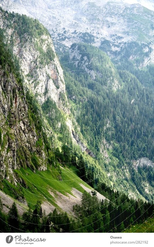 Hanauerlaubwand Ferien & Urlaub & Reisen Tourismus Ausflug Abenteuer Freiheit Sommerurlaub Berge u. Gebirge wandern Bergsteigen Natur Landschaft Pflanze Erde