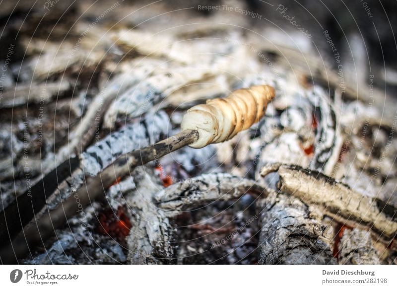 Stockbrot ist Gedultssache Lebensmittel Teigwaren Backwaren Brot Brötchen Ernährung Vegetarische Ernährung Fingerfood Abenteuer Camping Feuer Schönes Wetter