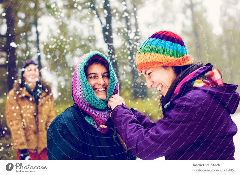 Freunde beim Schneeballspielen im Wald Mensch Freundschaft Schneebälle Spielen Werfen Spaß haben Entertainment Freizeit & Hobby Aktion Bewegung Winter Natur