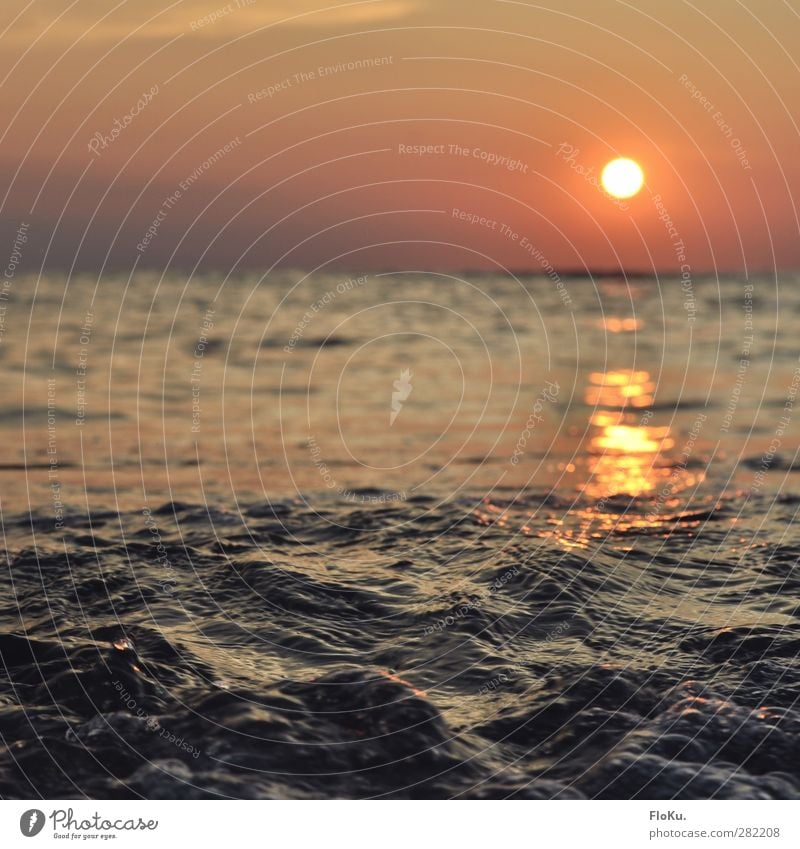 Nordsee am Abend Ferien & Urlaub & Reisen Tourismus Ferne Freiheit Sommer Sonne Meer Umwelt Natur Urelemente Wasser Himmel Horizont Schönes Wetter blau orange