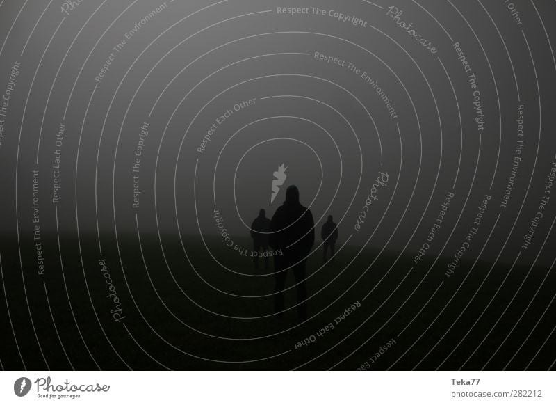 Strangers 1 Mensch maskulin 3 18-30 Jahre Jugendliche Erwachsene Umwelt Natur Landschaft Pflanze Tier Herbst Nebel Regen Wiese Feld ästhetisch außergewöhnlich