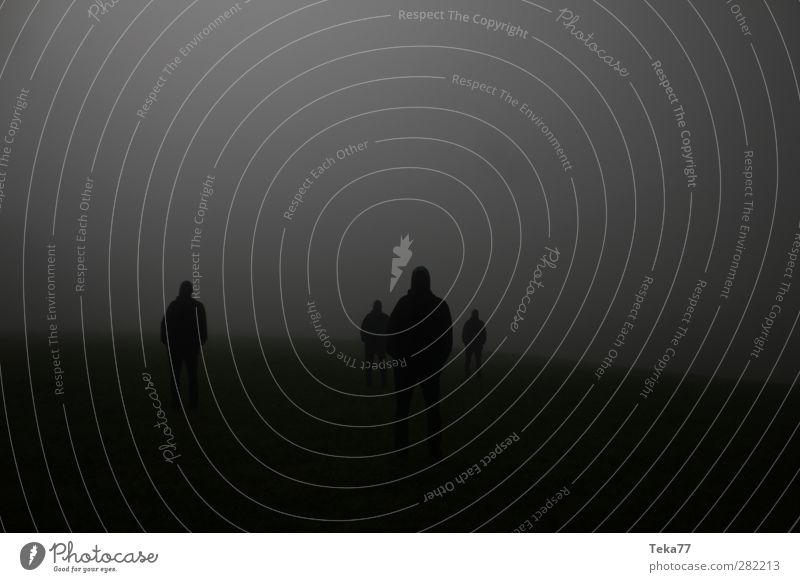 Strangers 2 Mensch maskulin 4 18-30 Jahre Jugendliche Erwachsene Umwelt Natur Landschaft Pflanze Nebel Wiese Feld ästhetisch außergewöhnlich bedrohlich