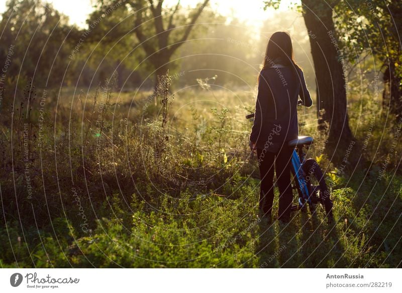 allein Fahrradfahren Mensch feminin Junge Frau Jugendliche Erwachsene 1 18-30 Jahre Umwelt Natur Landschaft Pflanze Herbst Schönes Wetter Baum Garten Park Wald