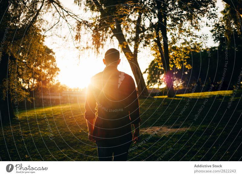 Junger Mann im sonnigen Park Jugendliche Rasen Gras Sommer Glück Lifestyle grün Natur Freizeit & Hobby heiter Baum Sonnenstrahlen Lächeln Freude Mensch hell