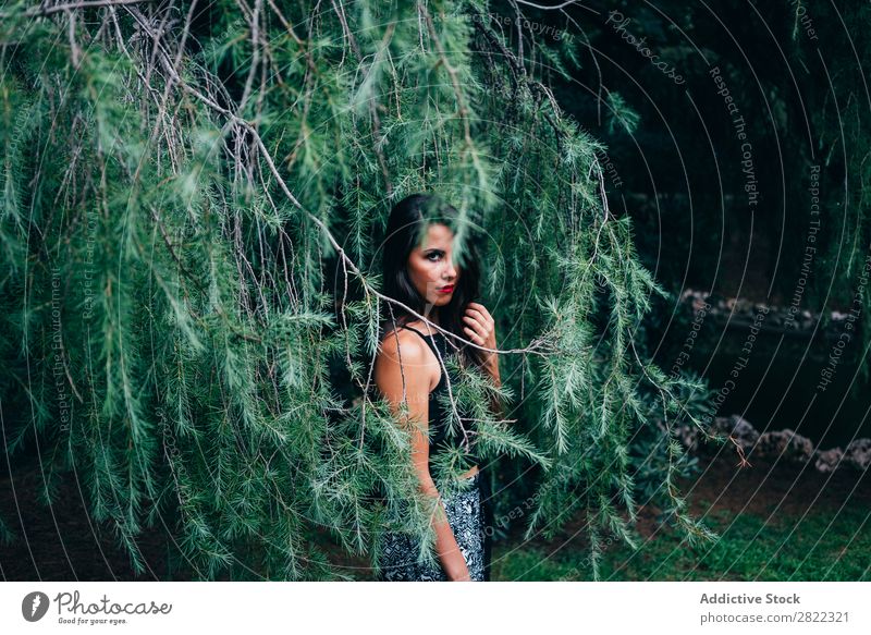 Hübsche Frau in Tannenästen hübsch Jugendliche schön stehen Baum Branche grün Park Wald Blick in die Kamera brünett attraktiv Mensch Beautyfotografie Erwachsene