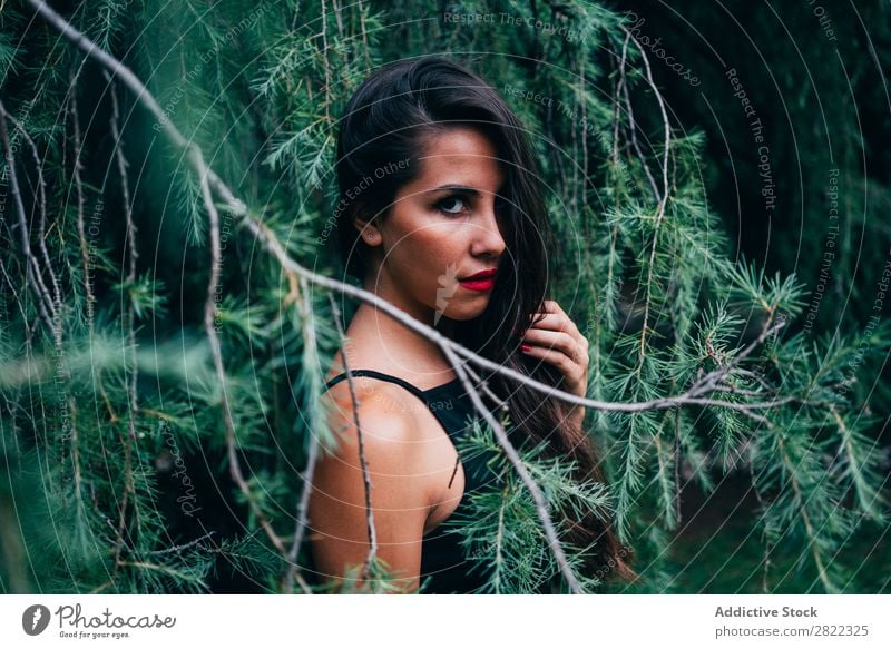 Hübsche Frau in Tannenästen hübsch Jugendliche schön stehen Baum Branche grün Park Wald Blick in die Kamera brünett attraktiv Mensch Beautyfotografie Erwachsene