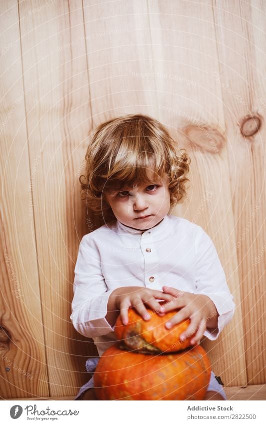 Bezauberndes Kind, das mit Kürbis posiert. Körperhaltung Ferien & Urlaub & Reisen Halloween Herbst Menschliches Gesicht Kindheit Zauberei u. Magie Phantasie