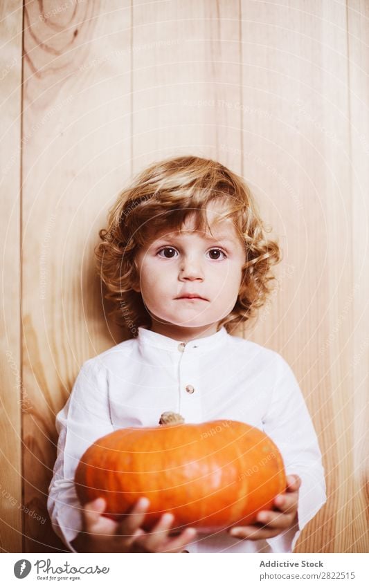 Bezauberndes Kind, das mit Kürbis posiert. Körperhaltung Ferien & Urlaub & Reisen Halloween Herbst Menschliches Gesicht Kindheit Zauberei u. Magie Phantasie