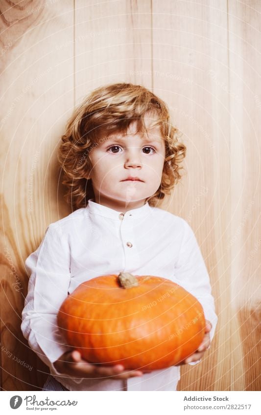 Bezauberndes Kind, das mit Kürbis posiert. Körperhaltung Ferien & Urlaub & Reisen Halloween Herbst Menschliches Gesicht Kindheit Zauberei u. Magie Phantasie