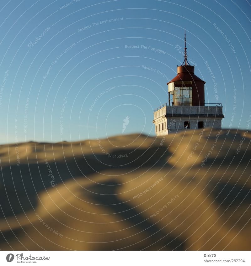 Über die Düne schielen ... Sommer Sommerurlaub Sonne Schifffahrt Sand Wolkenloser Himmel Schönes Wetter Küste Nordsee Stranddüne Wanderdüne Rubjerg Knude