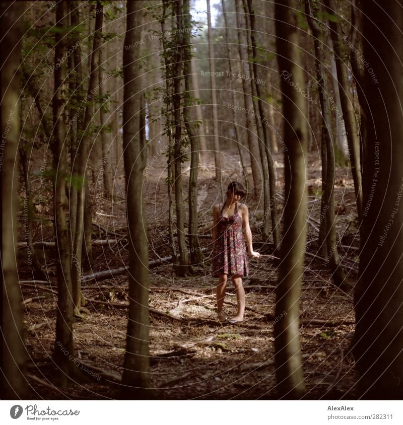 ... und dann weiß man nicht, links oder rechts, vor oder zurück Junge Frau Jugendliche Körper Beine 18-30 Jahre Erwachsene Natur Erde Baum Unterholz Wald Kleid