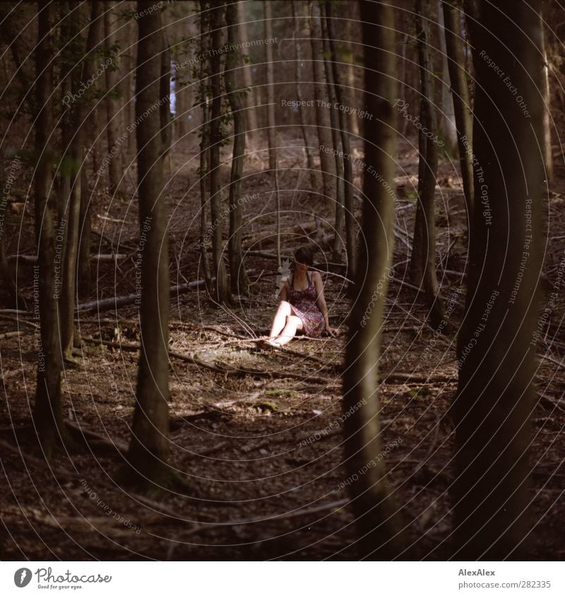 auf der Lichtung Sommer Junge Frau Jugendliche Körper Beine 18-30 Jahre Erwachsene Umwelt Natur Baum Unterholz Wald Waldlichtung Forstwirtschaft Kleid Barfuß