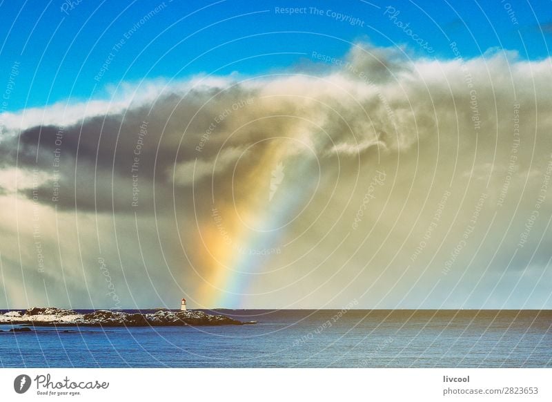 regenbogen auf den lofoten - norwegen Erholung Ferien & Urlaub & Reisen Meer Insel Winter Schnee Haus Natur Landschaft Urelemente Luft Wasser Schneefall Baum