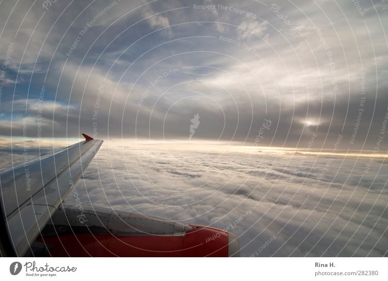 Nichts wie weg Ferien & Urlaub & Reisen Himmel Wolken Horizont Wetter Schönes Wetter Verkehrsmittel Luftverkehr Flugzeug fliegen Unendlichkeit Freude