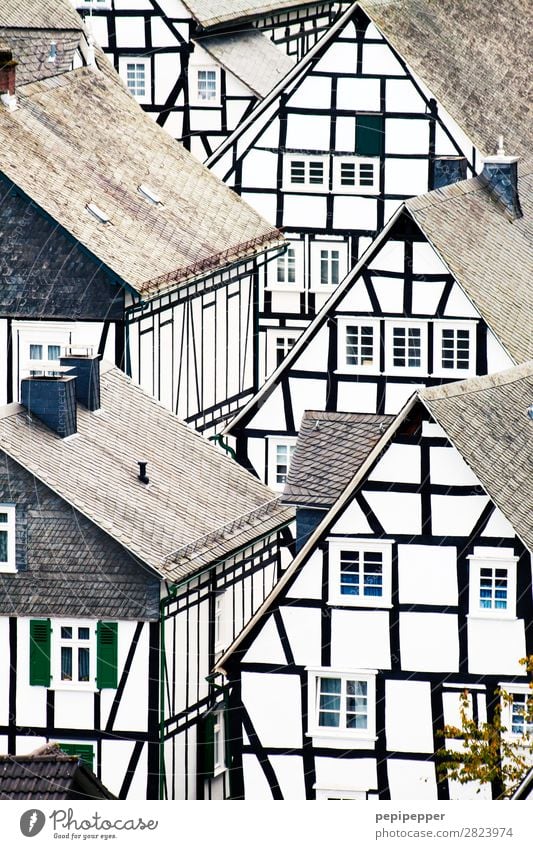 Freudenberg Häusliches Leben Wohnung Haus Nordrhein-Westfalen Dorf Einfamilienhaus Bauwerk Gebäude Architektur Mauer Wand Fassade Kamin Fenster Dach Schornstein