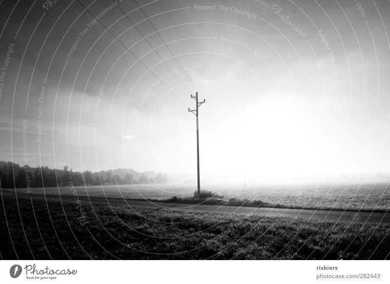 disappear in the nothingness Umwelt Natur Landschaft Sonne Herbst Nebel Wiese Feld hell Gefühle Stimmung Strommast Hochspannungsleitung Schwarzweißfoto