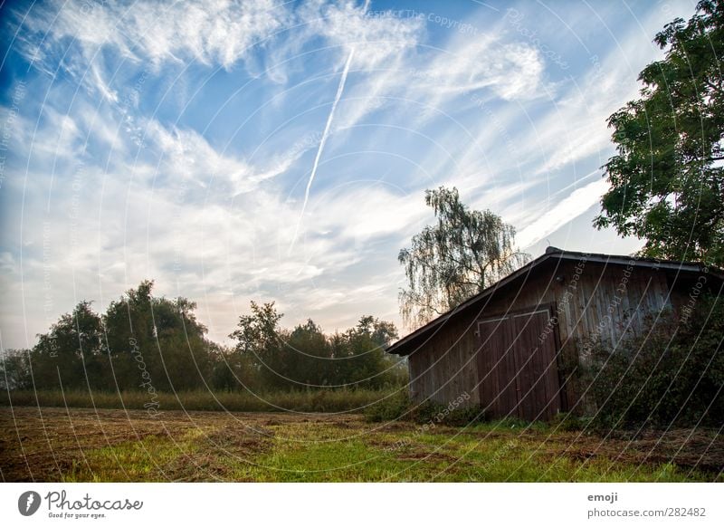 am Seeufer Umwelt Natur Himmel Wolken Herbst Wiese Feld natürlich blau grün Hütte Farbfoto Außenaufnahme Menschenleer Morgen Morgendämmerung Tag Schatten