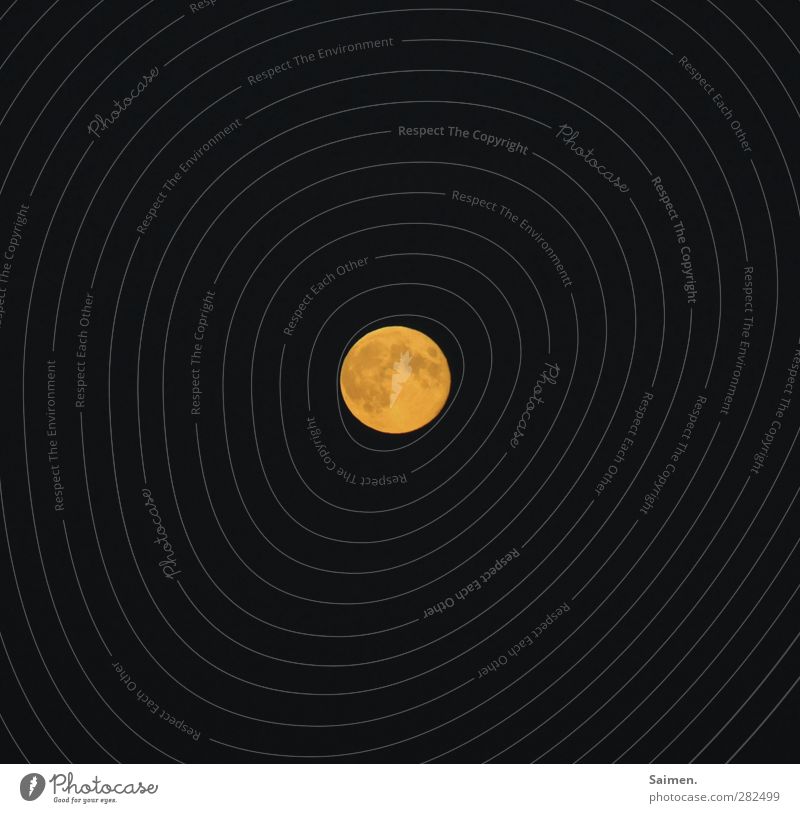 dunkel wars... Natur Himmel Nachthimmel Mond Vollmond leuchten gelb Weltall Farbfoto Außenaufnahme Lichterscheinung