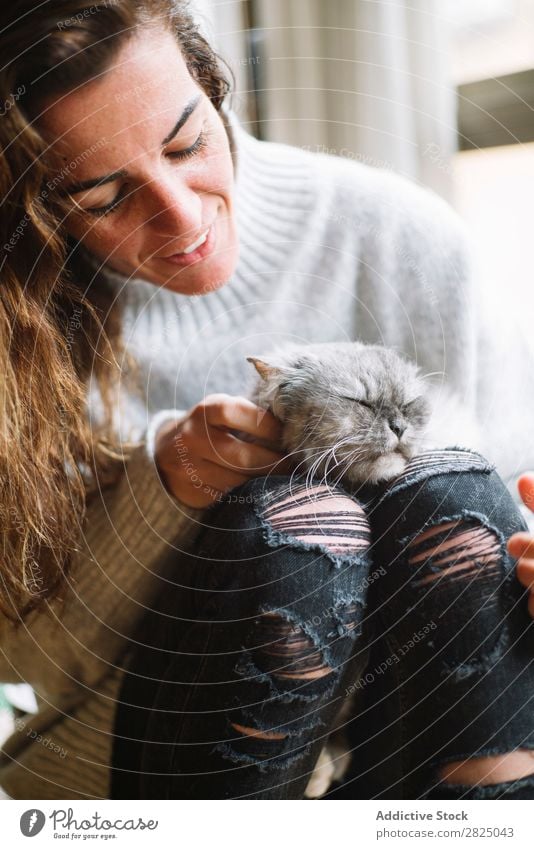 Lächelnde Frau streichelnde Katze heimwärts Erholung Lifestyle Streicheln Haustier Freundschaft grau heiter schön Raum Mensch lässig Erwachsene Beautyfotografie