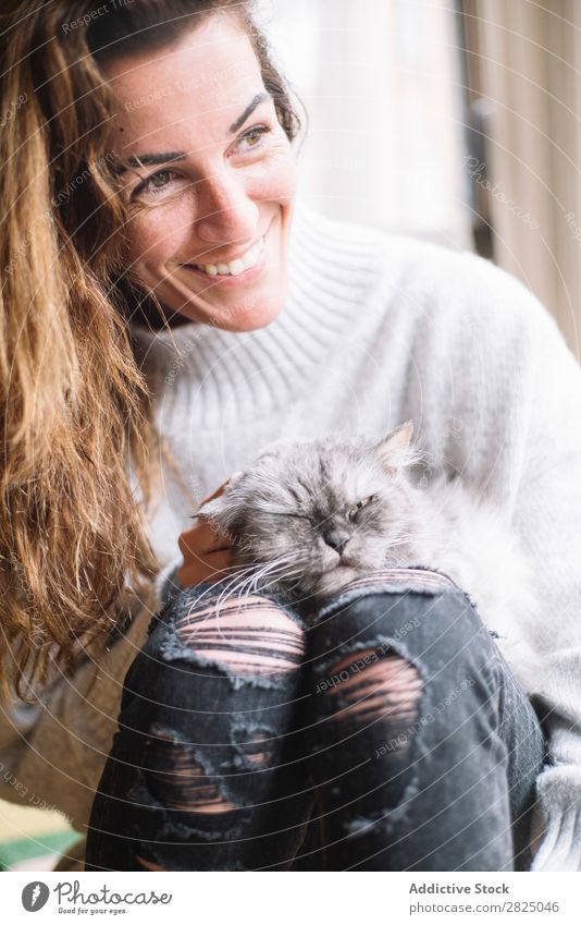 Lächelnde Frau streichelnde Katze heimwärts Erholung Lifestyle Streicheln Haustier Freundschaft grau heiter schön Raum Mensch lässig Erwachsene Beautyfotografie