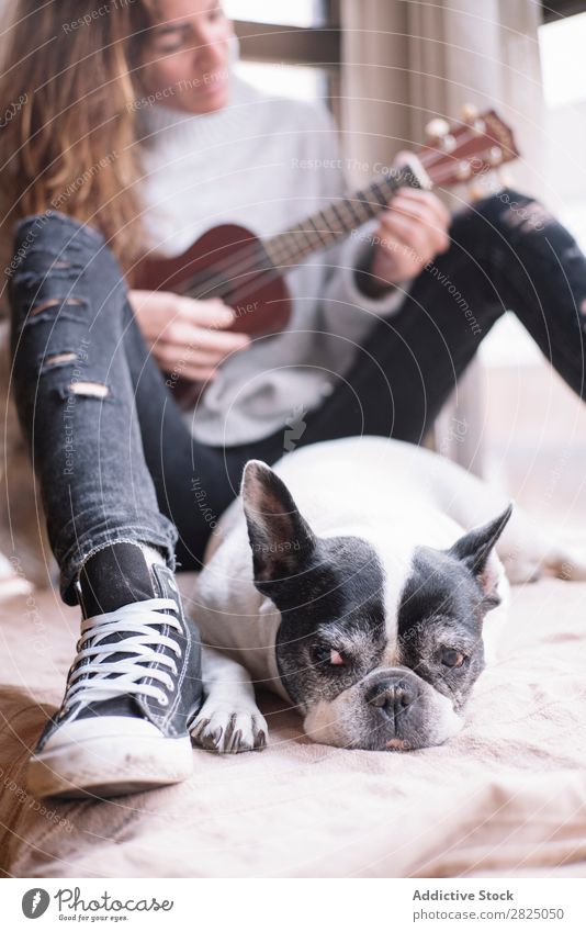 Frau und Hund entspannen zu Hause heimwärts Erholung Lifestyle Ukulele Gitarre Musiker Haustier Freundschaft lügen schön Raum Mensch lässig Erwachsene