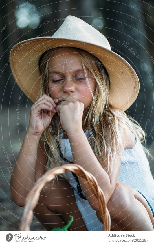 Kind isst Obst aus dem Korb Mädchen Essen Ernte Frucht Garten Gemüse Sommer Stil ländlich Landwirtschaft organisch Landschaft Natur Jahreszeiten Picknick