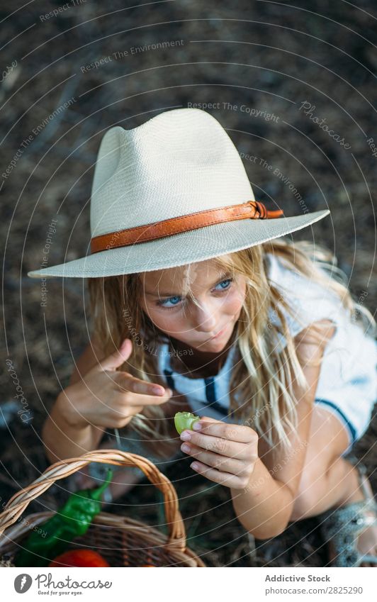 Kind isst Obst aus dem Korb Mädchen Essen Ernte Frucht Garten Gemüse Sommer Stil ländlich Landwirtschaft organisch Landschaft Natur Jahreszeiten Picknick