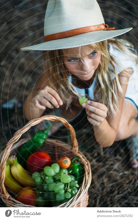 Kind isst Obst aus dem Korb Mädchen Essen Ernte Frucht Garten Gemüse Sommer Stil ländlich Landwirtschaft organisch Landschaft Natur Jahreszeiten Picknick