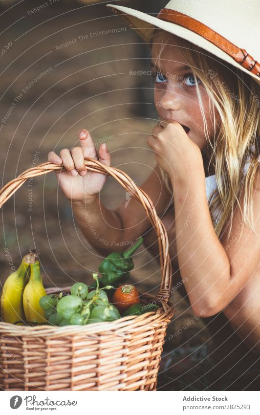 Kind isst Obst aus dem Korb Mädchen Essen Ernte Frucht Garten Gemüse Sommer Stil ländlich Landwirtschaft organisch Landschaft Natur Jahreszeiten Picknick