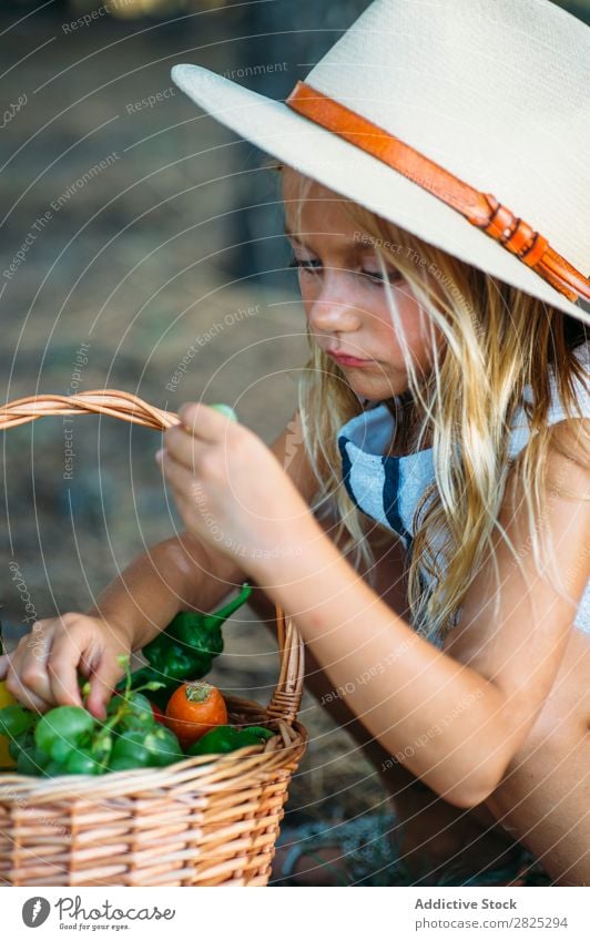 Kind isst Obst aus dem Korb Mädchen Essen Ernte Frucht Garten Gemüse Sommer Stil ländlich Landwirtschaft organisch Landschaft Natur Jahreszeiten Picknick