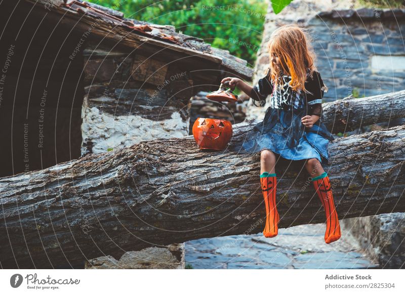 Fröhliches Kind im Kostüm, das auf einem Baum posiert. Mädchen Halloween Körperhaltung Feste & Feiern Tradition Zauberei u. Magie Ausdruck Süßwaren Bekleidung