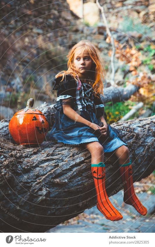 Fröhliches Kind im Kostüm, das auf einem Baum posiert. Mädchen Halloween Körperhaltung Feste & Feiern Tradition Zauberei u. Magie Ausdruck Süßwaren Bekleidung