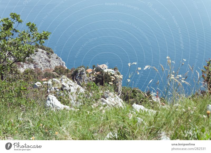 happy duttday! Ferien & Urlaub & Reisen Sommer Sommerurlaub Meer Natur Landschaft Felsen Adria Kroatien Istrien Dorf Haus natürlich blau grün Freiheit Ferne