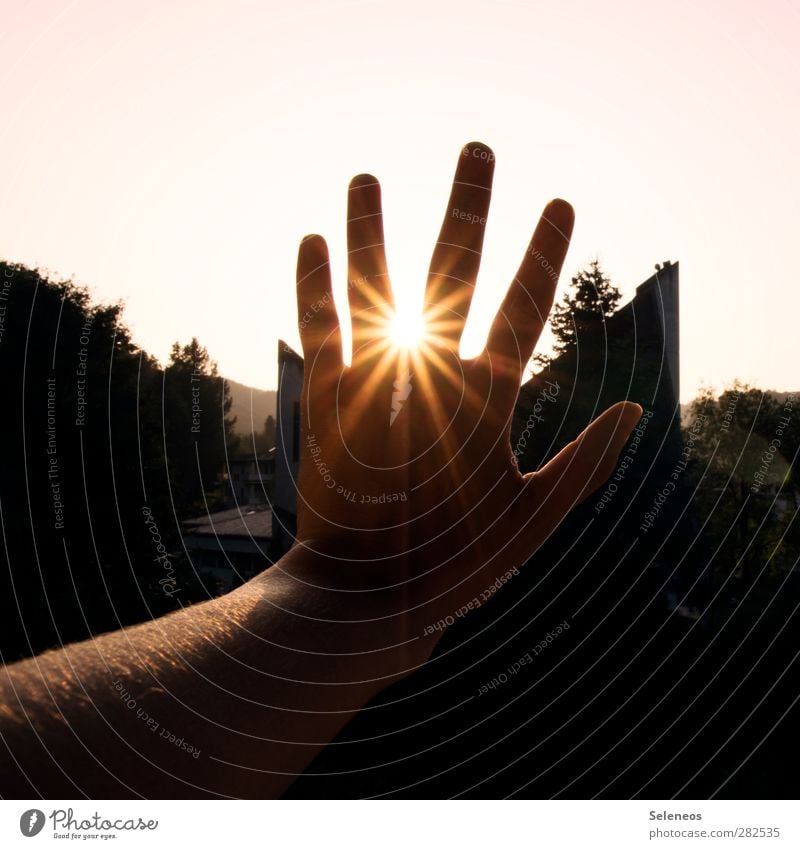 sie haben 555 mal ja gesagt Mensch Hand Finger 1 Umwelt Natur Himmel Wolkenloser Himmel Horizont Sonne Sonnenaufgang Sonnenuntergang Sonnenlicht Sommer