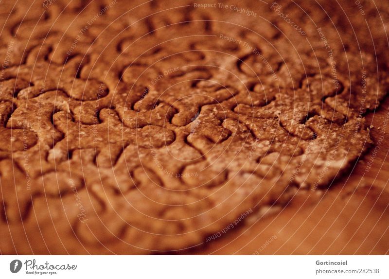 Männlein Lebensmittel Teigwaren Backwaren Süßwaren Ernährung Feste & Feiern braun Weihnachtsgebäck Lebkuchen Plätzchen Winter Keks Farbfoto Nahaufnahme