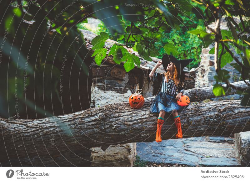 Fröhliches Kind im Kostüm, das auf einem Baum posiert. Mädchen Halloween Körperhaltung Feste & Feiern Tradition Zauberei u. Magie Ausdruck Süßwaren Bekleidung