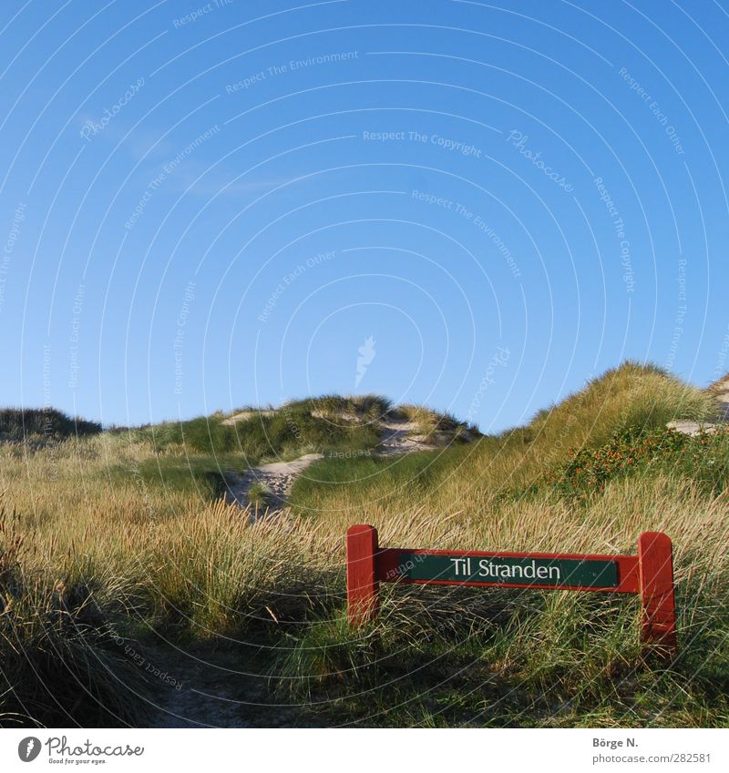 Til Stranden Schwimmen & Baden Ferien & Urlaub & Reisen Sommerurlaub Meer Natur Landschaft Sand Himmel Schönes Wetter Gras Küste Nordsee Dänemark Erholung