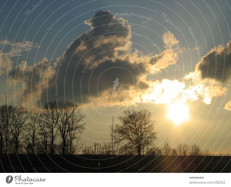 Frühlingsabend Wolken Sonnenuntergang Baum Abend Himmel