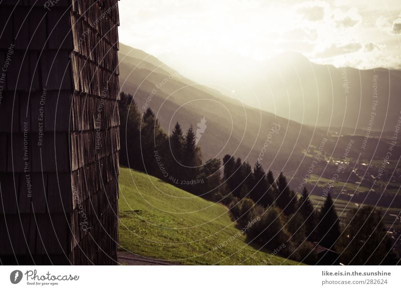 herbstliches tirol harmonisch Wohlgefühl Zufriedenheit Sinnesorgane Erholung ruhig wandern Umwelt Natur Landschaft Sommer Herbst Gras Garten Park Wiese Wald