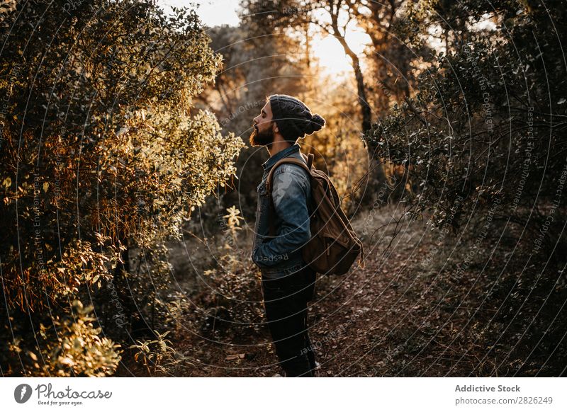 Bartiger Mann sieht einen Baum im Wald. Tourist Blick Porträt Herbst Tourismus Ferien & Urlaub & Reisen Abenteuer Jugendliche Ausflug Reisender ländlich Natur