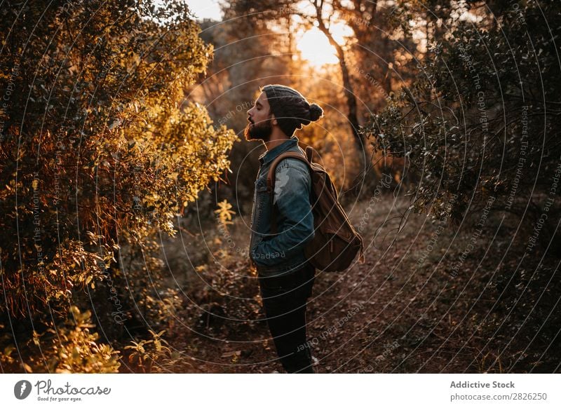 Eine Person, die den Herbstbaum betrachtet. Mann Tourist Wald Blick Baum Porträt Tourismus Ferien & Urlaub & Reisen Abenteuer Jugendliche Ausflug Reisender