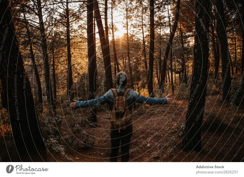 Lässiger Mann im Herbstwald Tourist Wald Rucksack Tourismus Ferien & Urlaub & Reisen Abenteuer Jugendliche Ausflug Backpacker Reisender breit Hand ländlich