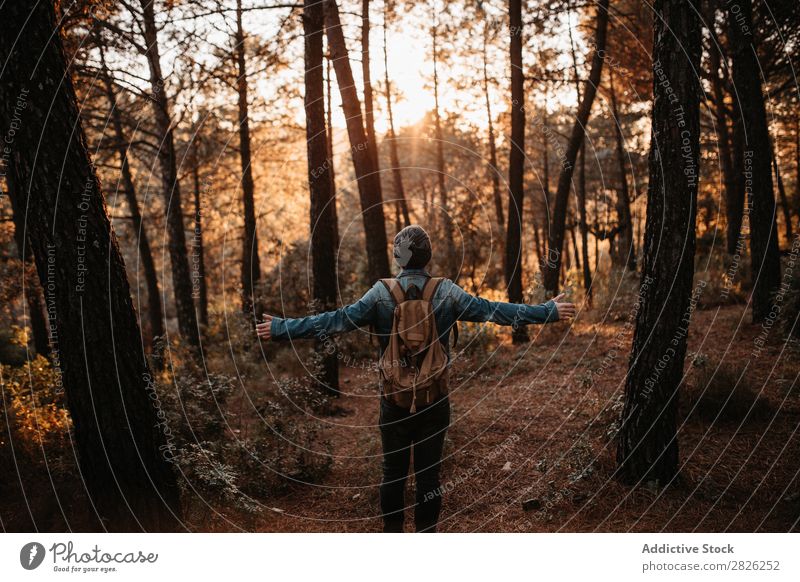 Ein Mensch im Herbstwald Tourist Wald Rucksack Tourismus Ferien & Urlaub & Reisen Abenteuer Jugendliche Ausflug Backpacker Reisender breit Hand ländlich Natur