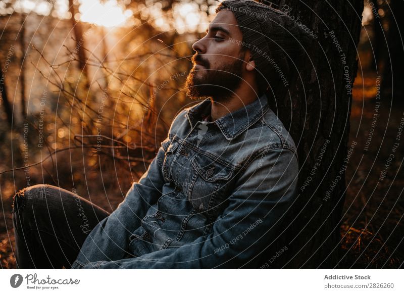 Ein Tourist, der im Wald sitzt. Mensch ruhen sitzen Mann Blick Baum Porträt Herbst Jugendliche Ausflug Sonnenuntergang ländlich Natur Erholung stumm