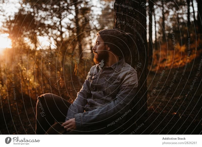 Der Mensch hat eine friedliche Zeit im Wald bei Sonnenuntergang. ruhen sitzen Mann Tourist Blick Baum Porträt Herbst Jugendliche ländlich Natur Erholung stumm