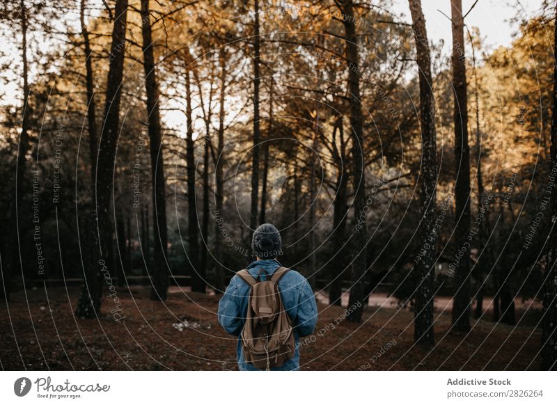 Ein Rucksacktourist im Wald Mann Tourist Herbst Tourismus Ferien & Urlaub & Reisen Abenteuer Jugendliche Ausflug Backpacker Reisender Natur Erholung stumm