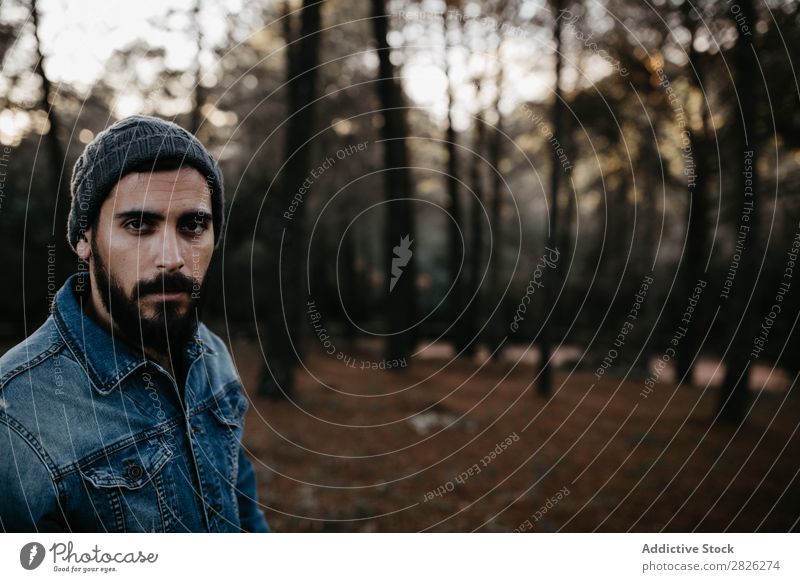 Bartiger Mann im Wald Tourist Blick in die Kamera Porträt Herbst Jugendliche ländlich Natur Erholung stumm stehen Fürsorge Denken bärtig Abend besinnlich Mensch