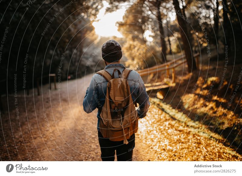 Ein Tourist auf der Landstraße Mann Straße Wald Rucksack Herbst Tourismus Ferien & Urlaub & Reisen Abenteuer Jugendliche Ausflug Backpacker Reisender ländlich