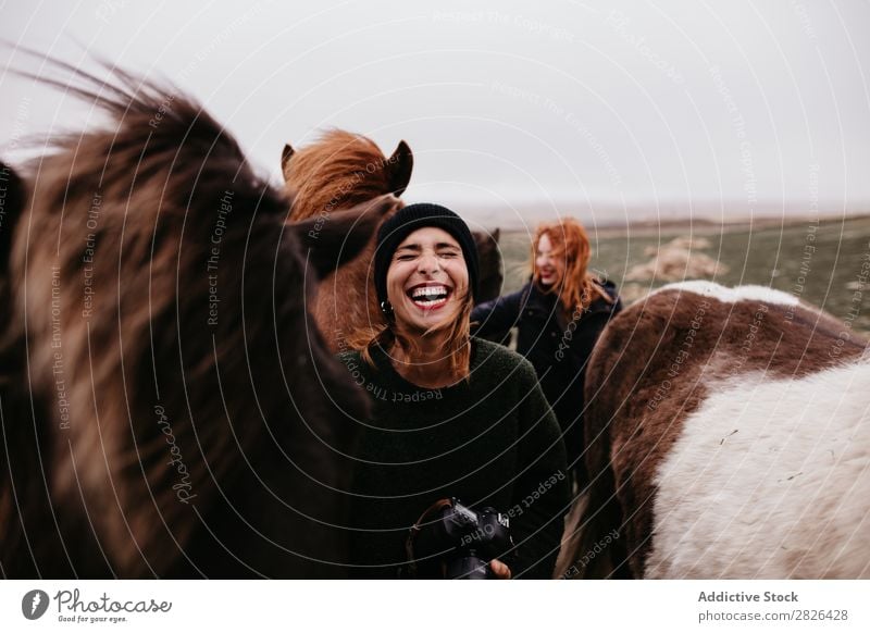 Lachende Frauen mit Pferden Tourismus Fotograf Island Natur Fröhlichkeit Landschaft rustikal Bauernhof grün Freizeit & Hobby ländlich pferdeähnlich berühren